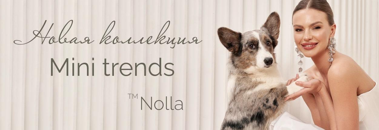 nolla-mini-trends_bn-min